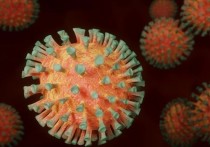 Как сообщает телеканал India, власти индийского штата Махараштра сообщили о выявлении нового штамма коронавируса, который получил название "дельта плюс" (B