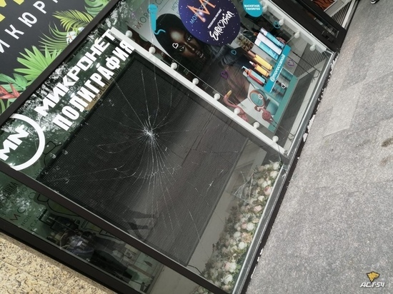 Тиктокеры разбили головой витрину ради эффектного ролика в Новосибирске