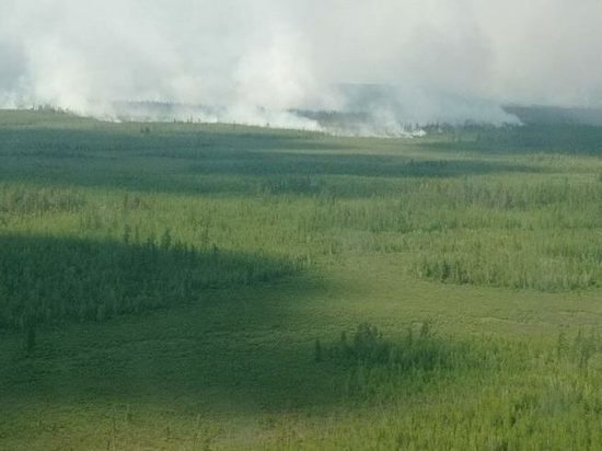 Огнеборцам Якутии удалось ликвидировать 6 лесных пожаров за сутки