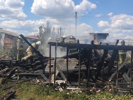 Полдня тушили пожар в артемовском «Красногвардейском леспромхозе»
