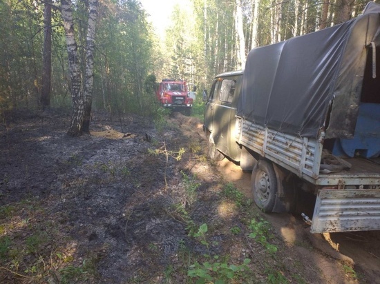 Лесной пожар в Ивановской области тушили больше двух часов