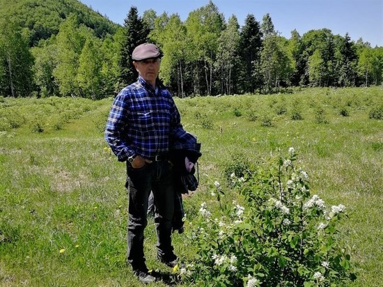 Сахалинский фермер вырастил урожай канадской ягоды