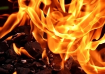 Один человек погиб при пожаре в СНТ «Русич» в Емельяновском районе Красноярского края