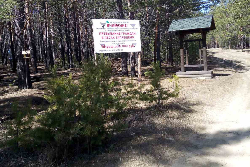 Почему закрыта лесная. Въезд в лес запрещен в Бурятии. Центр защиты леса Улан-Удэ.