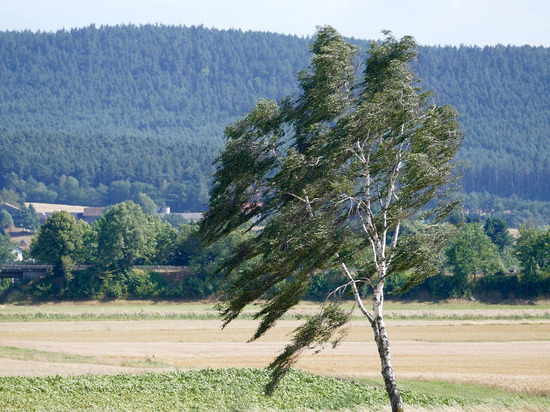 В ДНР вновь объявлен желтый уровень погодной опасности