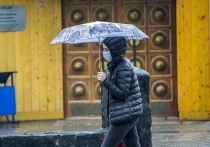 Во вторник, 22 июня, в Омске будет пасмурно и дождливо