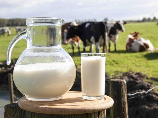 В Нижегородской области увеличилось производство молока