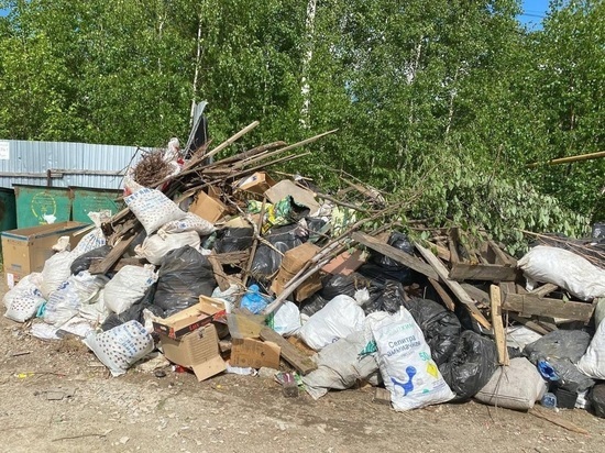 Власти не только не могут привести контейнерные площадки в порядок, но и не дают местным жителям изменить ситуацию