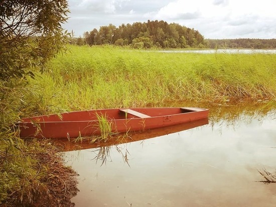 В Смоленской области подростки спасли девочку, которая тонула в озере