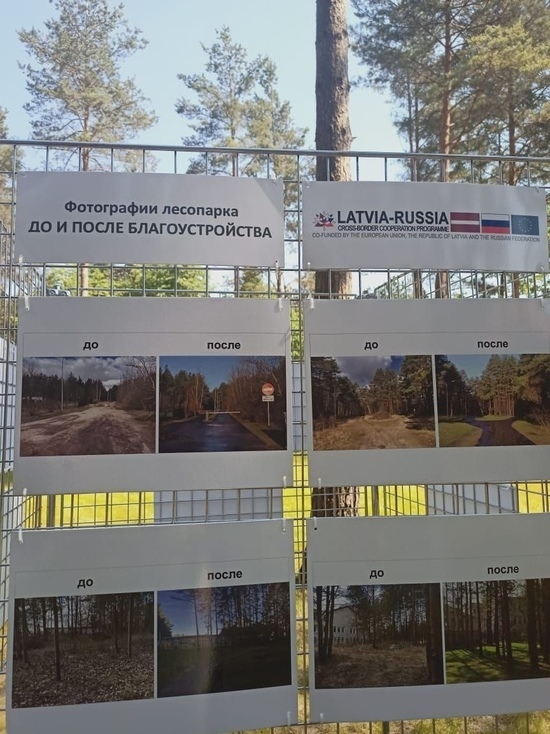 В Пскове состоялось открытие инклюзивного парка в Корытовском лесопарке