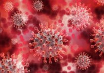 У коронавирусной инфекции нового типа обнаружили способность влиять на клетки крови, пишет Biophysical Journal со ссылкой на исследование медиков Центра физики и медицины Макса Планка и Немецкого центра иммунотерапии