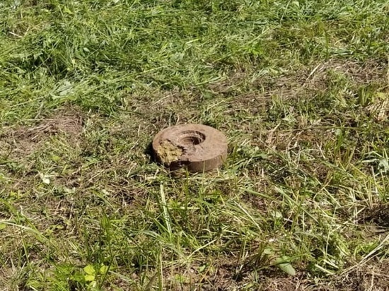 В Костромской области на обочине нашли противотанковую мину
