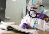 В Краснодарском крае собрались ввести обязательную вакцинацию для тех категорий работников, которые в силу своих должностных обязанностей постоянно общаются с людьми