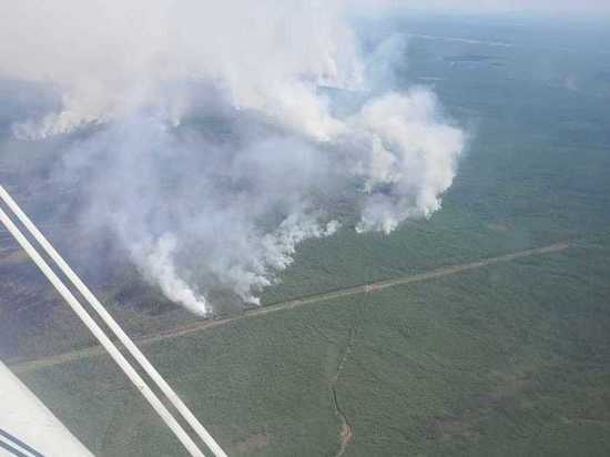 За сутки в Якутии ликвидированы четыре лесных пожара и пять локализованы