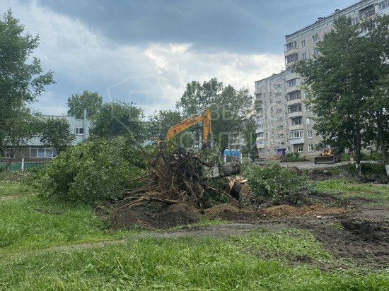 В Кемерове ради строительства парковки снесли деревья