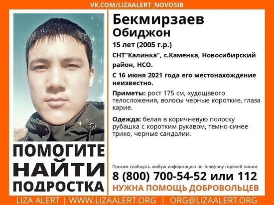 Подросток в полосатой рубашке без вести пропал под Новосибирском