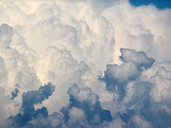 Кратковременные дожди и облачность ожидаются в Приамурье 23 июня