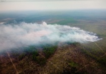Три пожара потушили за сутки в лесах Приангарья
