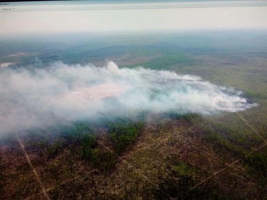 Три пожара потушили за сутки в лесах Приангарья