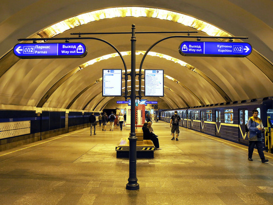 В Петербурге поезда по синей ветке метро идут только до «Удельной»