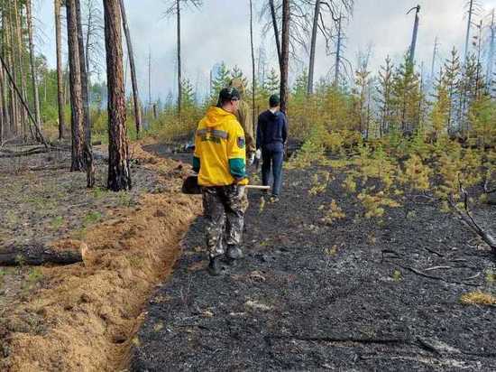 Из-за лесных пожаров в Якутии введут режим ЧС регионального характера