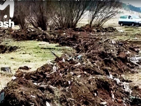 ДВ-гектар с мусором под Читой заменили после вмешательства Генпрокуратуры РФ