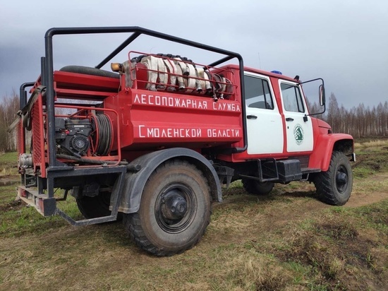 Лесной пожар на площади в 5,7 га ликвидировали в Смоленской области