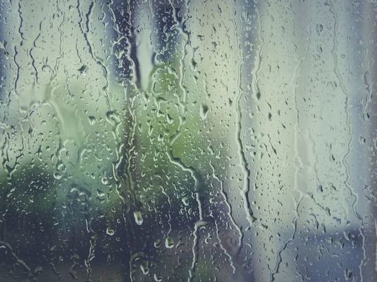 Жара и дожди ожидаются в Амурской области 24 июня