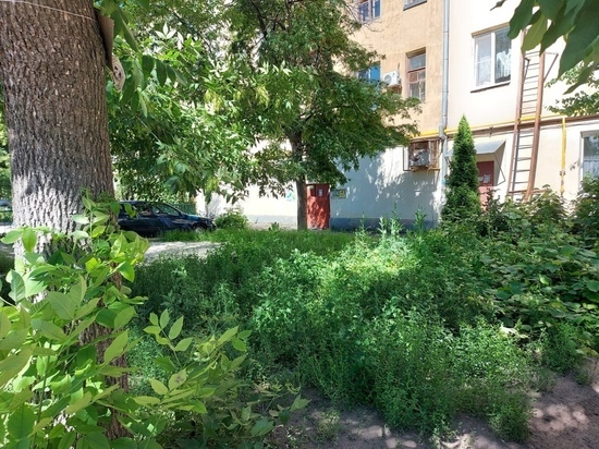В Тамбове контролируют работы по благоустройству дворов