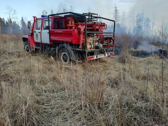 Лесопожарная служба и МЧС ликвидируют пожар в Смоленском районе