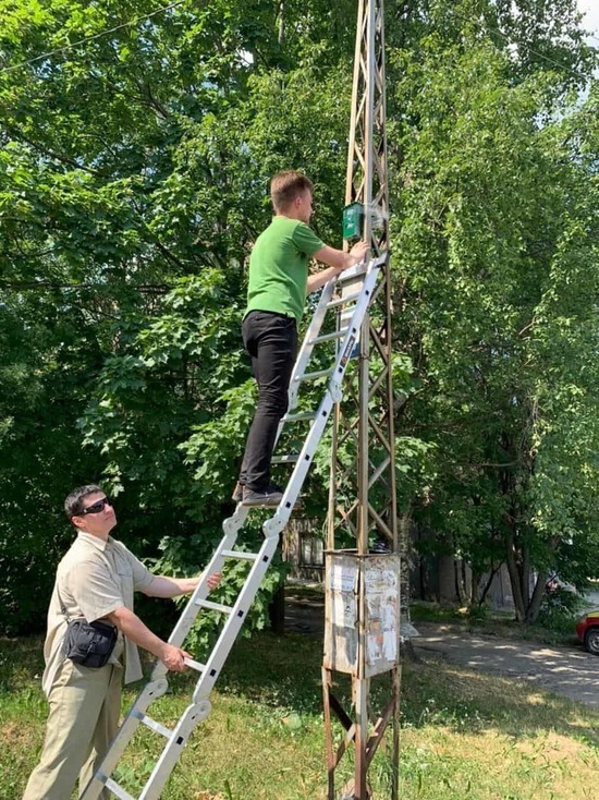 За контейнерными площадками Петрозаводска следит уже 10 камер