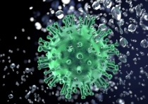 Еще 7 человек умерли от коронавируса за сутки