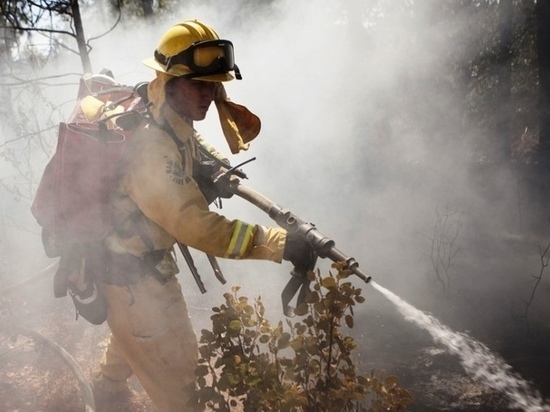 В Хабаровском крае тушат пять природных пожаров