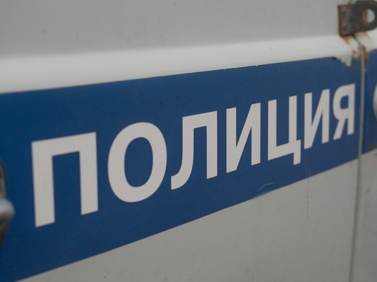 В Петербурге задержали тиктокера за съемку в полицейской форме
