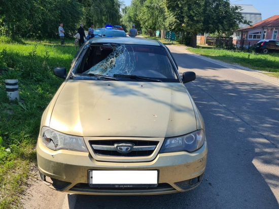 Под Рязанью водитель Daewoo насмерть сбил 64-летнюю велосипедистку