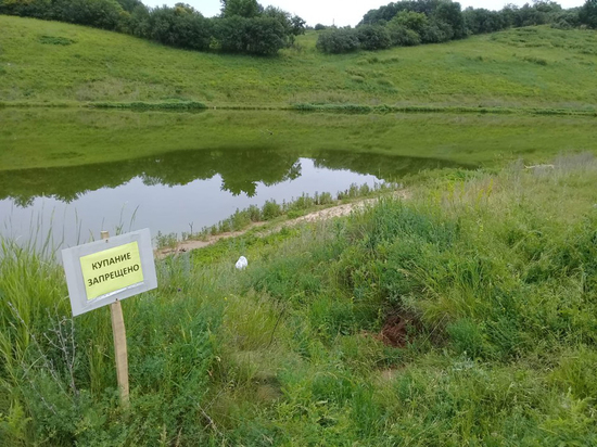 В Белгородской области утонули дедушка с внучкой