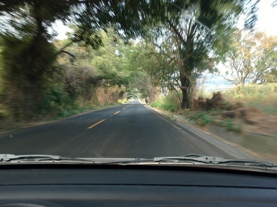 В Смоленской области задержан незаконно прибывший на территорию РФ автомобиль с подозрительным грузом