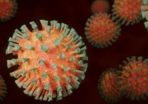 Пресловутый штамм индийского коронавируса «Дельта» пришел и на Украину