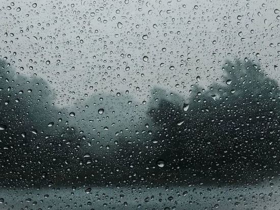 Дожди «наведаются» в Амурскую область 26 июня