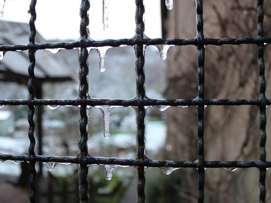 В колониях и СИЗО Смоленской области отменены все свидания с родственниками из-за обстановки с коронавирусом