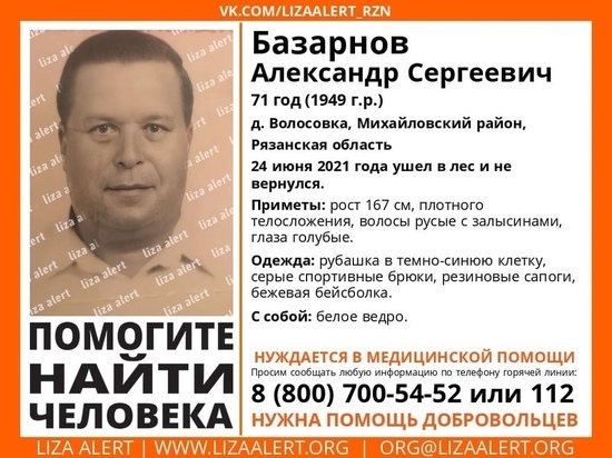 В Михайловском районе Рязанской области ищут 71-летнего грибника
