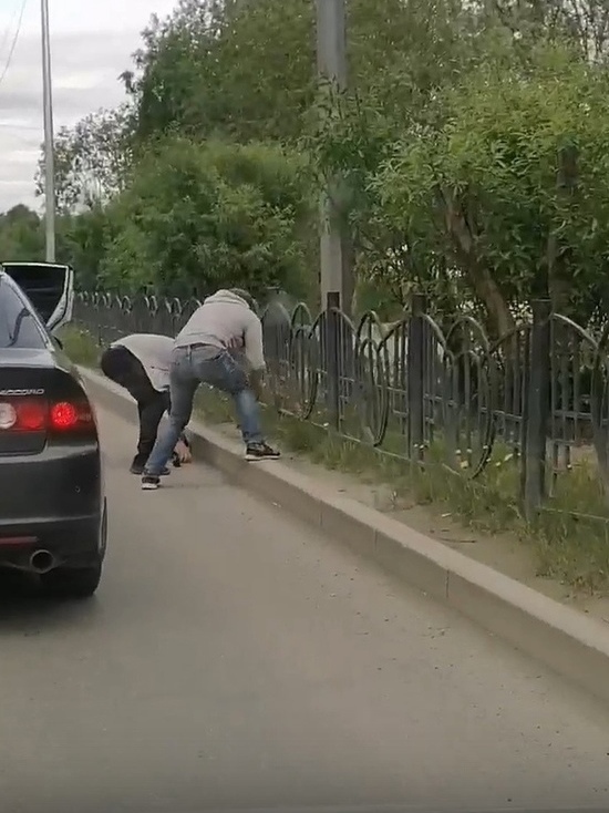 Водители помогли утятам перейти через дорогу в Салехарде
