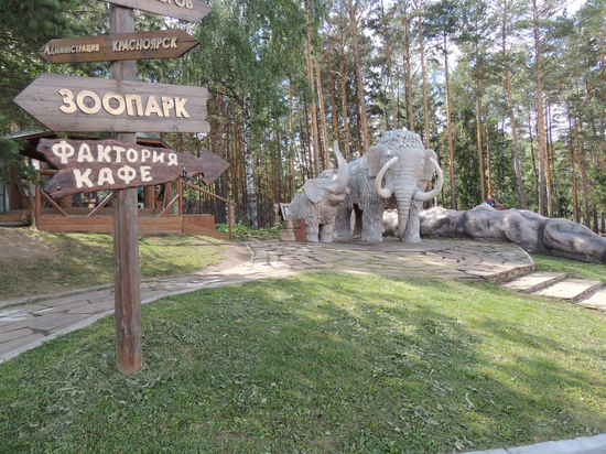 Красноярский зоопарк в «Роевом ручье» эпидемиологи проверили на наличие клещей
