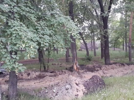Подрядчик благоустройства Советского парка в Омске повредил там деревья