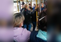 В Красноярском крае кондуктор высадила из общественного транспорта подростка, который не смог рассчитаться за билет наличными средствами