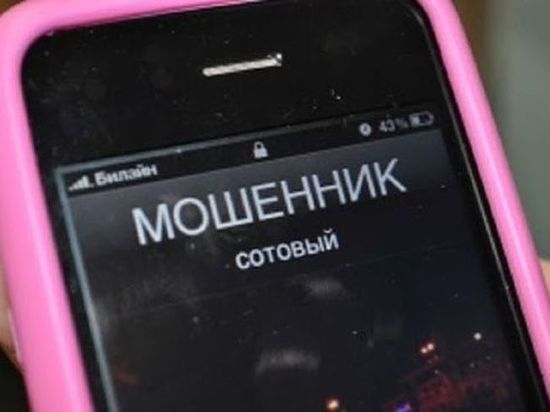 Жителя Омска телефонные мошенники из Москвы обманули на 600 тысяч рублей