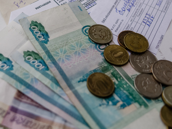 Предприимчивая астраханка обманула государство