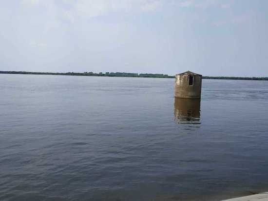 Уровень Амура у Хабаровска 5-7 июля поднимется до 550 сантиметров