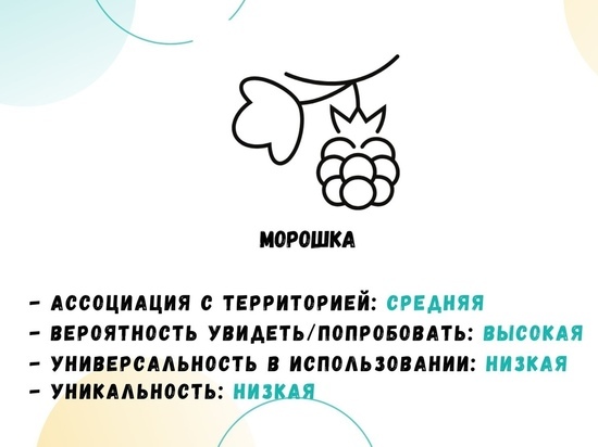 Олень или морошка: логотип для туристического бренда выбирают в Шурышкарском районе