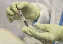 «Добровольно-принудительная» вакцинация от ковида идёт полным ходом